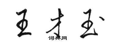 駱恆光王才玉行書個性簽名怎么寫