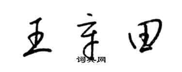 梁錦英王辛田草書個性簽名怎么寫