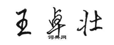 駱恆光王卓壯行書個性簽名怎么寫