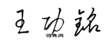 駱恆光王功銘草書個性簽名怎么寫