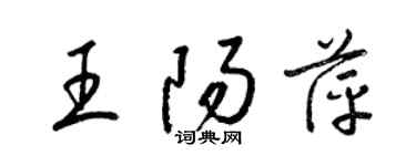 梁錦英王陽萍草書個性簽名怎么寫