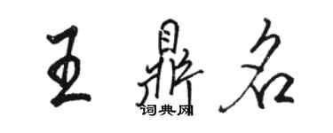 駱恆光王鼎名行書個性簽名怎么寫