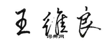 駱恆光王維良行書個性簽名怎么寫