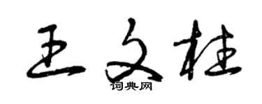 曾慶福王文柱草書個性簽名怎么寫