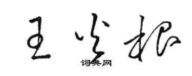 駱恆光王火根草書個性簽名怎么寫