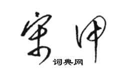 駱恆光宋甲草書個性簽名怎么寫