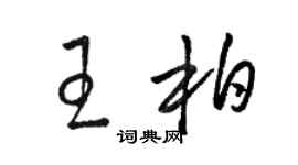 駱恆光王柏草書個性簽名怎么寫