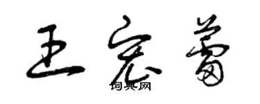 曾慶福王宏蕾草書個性簽名怎么寫