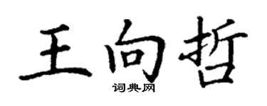 丁謙王向哲楷書個性簽名怎么寫
