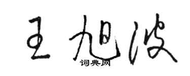 駱恆光王旭波草書個性簽名怎么寫