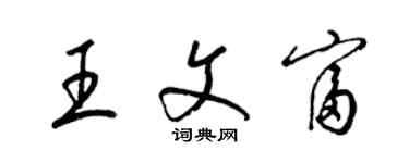 梁錦英王文富草書個性簽名怎么寫