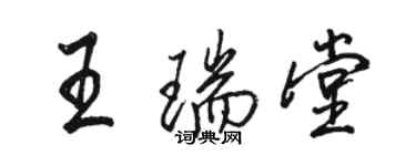 駱恆光王瑞堂行書個性簽名怎么寫