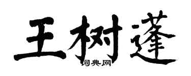 翁闓運王樹蓬楷書個性簽名怎么寫
