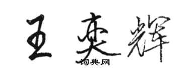 駱恆光王奕輝行書個性簽名怎么寫