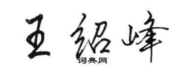 駱恆光王紹峰行書個性簽名怎么寫