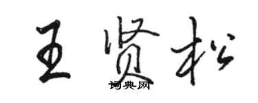 駱恆光王賢松行書個性簽名怎么寫