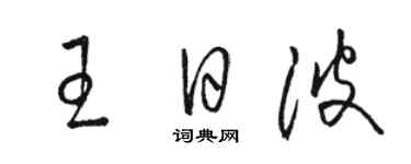 駱恆光王日波草書個性簽名怎么寫