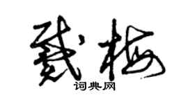 曾慶福戴梅草書個性簽名怎么寫