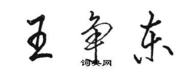 駱恆光王爭東行書個性簽名怎么寫