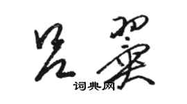 駱恆光呂翼草書個性簽名怎么寫