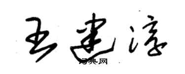 朱錫榮王建淳草書個性簽名怎么寫