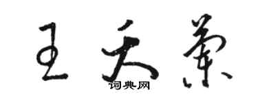 駱恆光王夭蘭草書個性簽名怎么寫