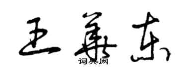 曾慶福王華東草書個性簽名怎么寫