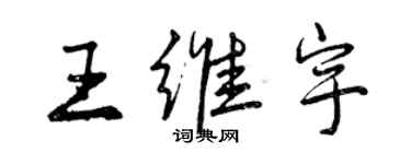 曾慶福王維宇行書個性簽名怎么寫