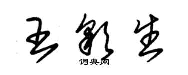 朱錫榮王彩生草書個性簽名怎么寫