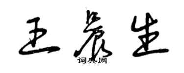 曾慶福王晨生草書個性簽名怎么寫