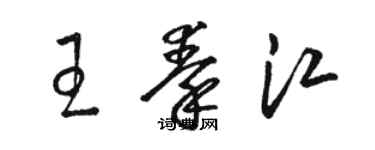 駱恆光王秦江草書個性簽名怎么寫