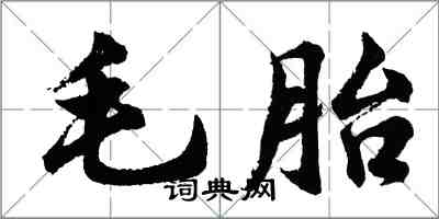 胡問遂毛胎行書怎么寫