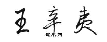 駱恆光王辛夷行書個性簽名怎么寫