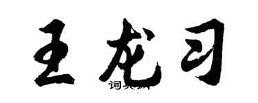 胡問遂王龍習行書個性簽名怎么寫