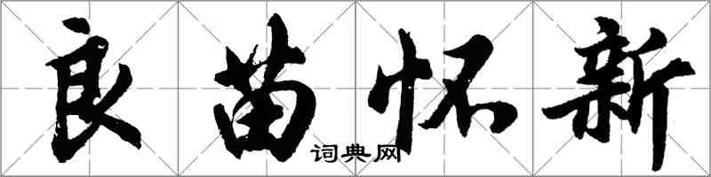 胡問遂良苗懷新行書怎么寫