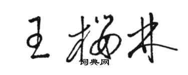 駱恆光王櫻林草書個性簽名怎么寫