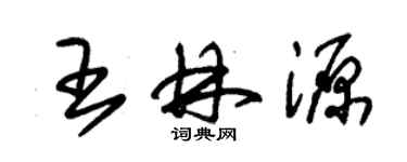 朱錫榮王林源草書個性簽名怎么寫