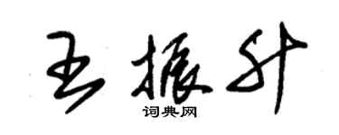 朱錫榮王振升草書個性簽名怎么寫