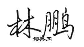 駱恆光林鵬行書個性簽名怎么寫