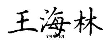丁謙王海林楷書個性簽名怎么寫