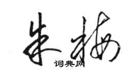 駱恆光朱梅草書個性簽名怎么寫