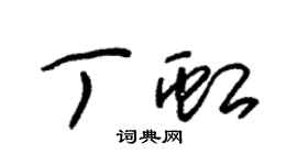 朱錫榮丁虹草書個性簽名怎么寫