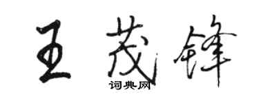 駱恆光王茂鋒行書個性簽名怎么寫