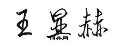 駱恆光王顯赫行書個性簽名怎么寫