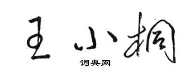 駱恆光王小桐草書個性簽名怎么寫