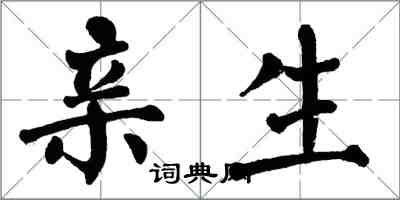 翁闓運親生楷書怎么寫