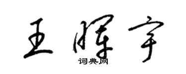 梁錦英王暉宇草書個性簽名怎么寫