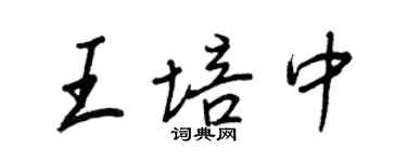 王正良王培中行書個性簽名怎么寫