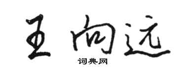 駱恆光王向遠行書個性簽名怎么寫