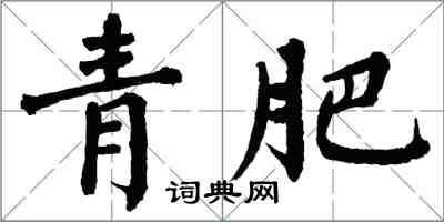 翁闓運青肥楷書怎么寫